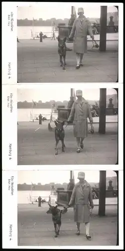 Serien-Fotografie Film-Werkstätten Erich Hey, Hamburg, Ansicht Hamburg, Dame führt Hund am Jungfernstieg aus