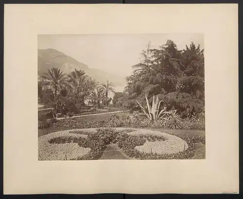 Fotografie unbekannter Fotograf, Ansicht Monaco-Monte-Carlo, Park, gepflegte Gartenanlage