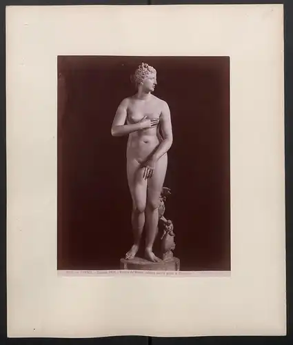 Fotografie Giacomo Brogi, Ansicht Florenz-Firenze, Galleria Uffizi, Venere de Medici, Celebre lavoro greco di Cleomene