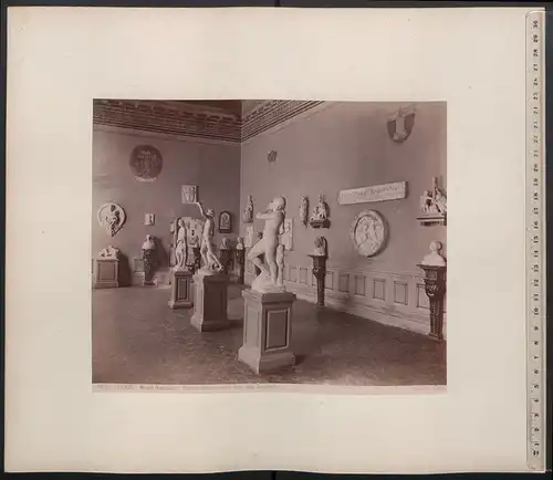 Fotografie Giacomo Brogi, Ansicht Florenz - Firenze, Museo Nazionale, Interno delia seconda sala delle Sculture