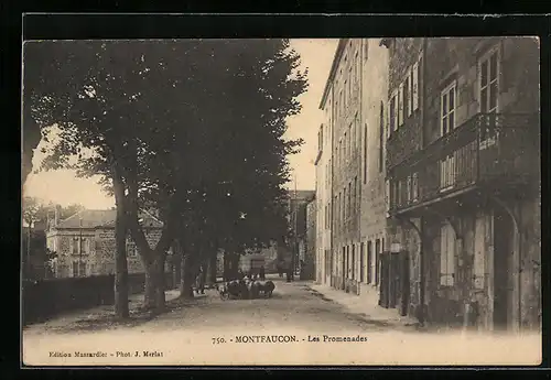 AK Montfaucon, Les Promenades