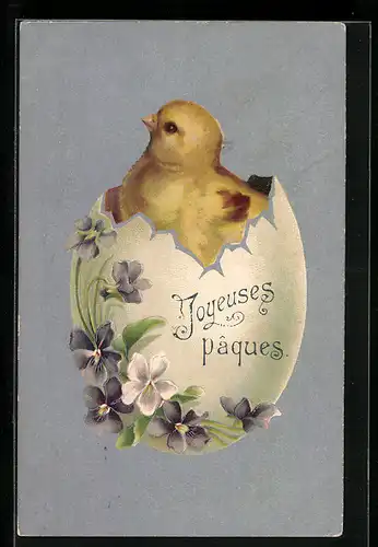 AK Osterküken blickt aus dem Ei