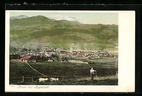 AK Appenzell, Ortsansicht mit Ziegen