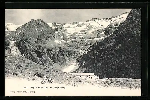 AK Engelberg, Alp Herrenrüti, Panorama
