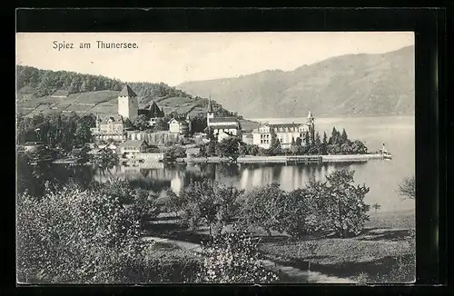 AK Spiez am Thunersee, Panorama