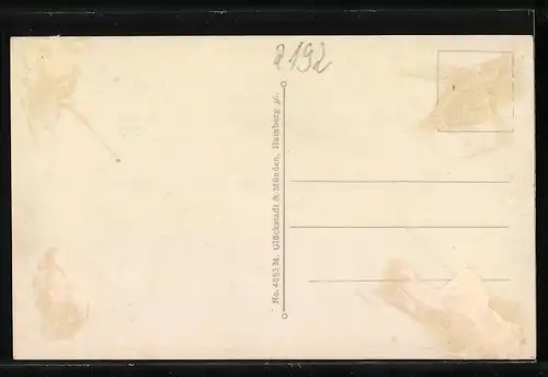 AK Helgoland, Totalansicht