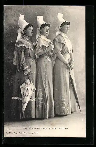 AK Poitevins Mothais, Costumes
