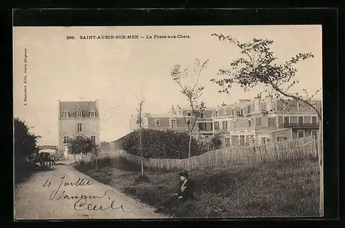 AK Saint-Aubin-sur-Mer, la fosse aux chats