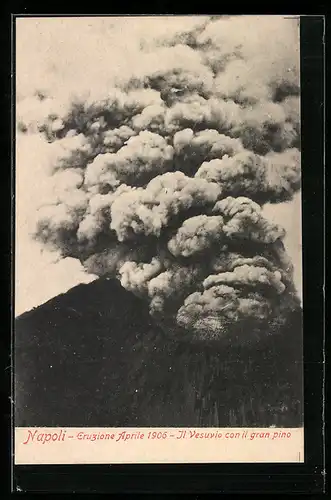 AK Napoli, Eruzione Aprile 1906, Il Vesuvio con il gran pino