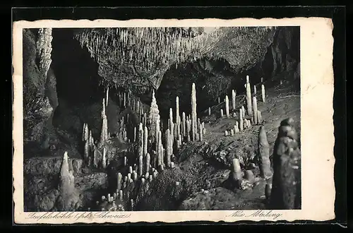 AK Teufelshöhle in der Fränkischen Schweiz, Neue Abteilung