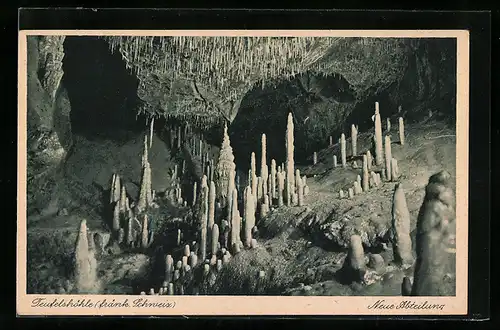 AK Fränkische Schweiz, Die Teufelshöhle, Neue Abteilung