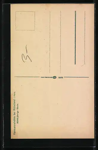 AK Rübeland i. Harz, Hermannshöhle, 8000 jährige Säule
