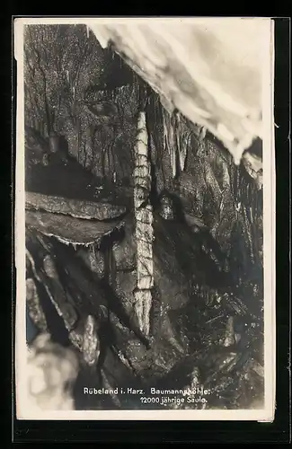 AK Rübeland i. Harz, Baumannshöhle, 12000 jährige Säule
