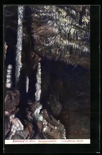 AK Rübeland i. Harz, Baumannshöhle, 12000 jährige Säule