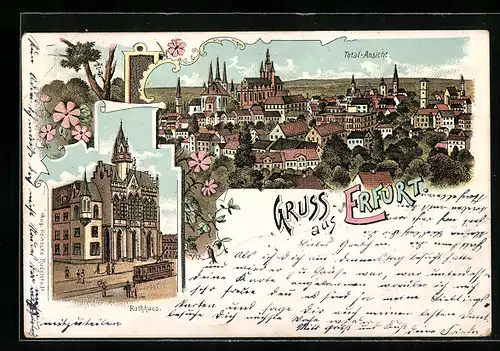 Lithographie Erfurt, Rathaus, Ortspanorama aus der Vogelschau