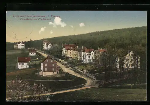 AK Niedernhausen i. Taunus, Villenviertel am Waldrand