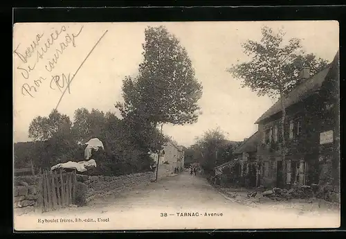 AK Tarnac, Avenue