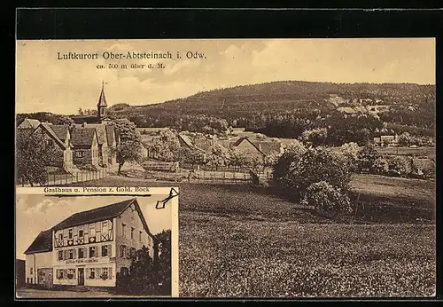 AK Ober-Abtsteinach /Odw., Gasthaus-Pension zum goldenen Bock, Gesamtansicht mit Umgebung