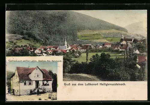 AK Heiligkreuzsteinach, Gasthaus zum weissen Lamm N. Reinhardt, Gesamtansicht aus der Vogelschau