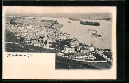 AK Rüdesheim a. Rh., Gesamtansicht