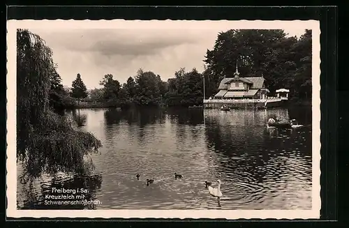 AK Freiberg i. Sa., Kreuzteich mit Schwanenschlösschen