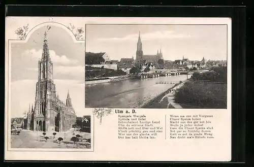 AK Ulm a. D., Münster, Gesamtansicht