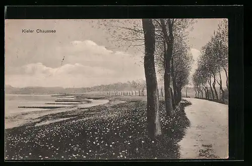 AK Eckernförde, Idylle an der Kieler Chaussee