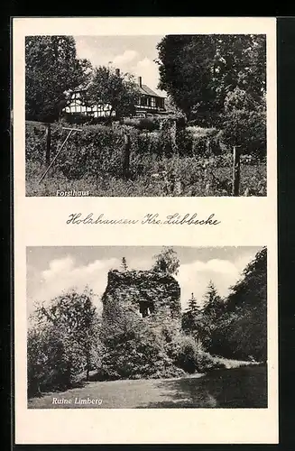 AK Holzhausen /Kr. Lübbecke, Forsthaus und Ruine Limberg