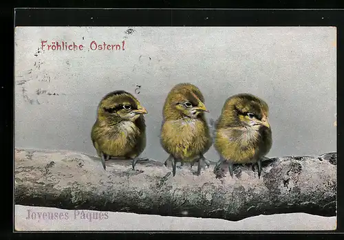 AK Osterküken sitzen auf einem Ast