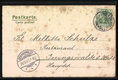 Lithographie Verschneite Tannenzweige mit Weihnachtsstern