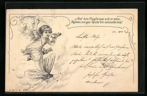 AK Amor verkündet Grüsse auf dem Flügelrosse
