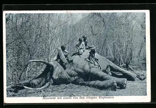 AK Missionär mit einem von ihm erlegten Elefanten