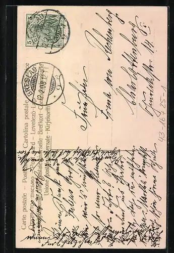 AK Frauen im Auto verscheuchen Gänse