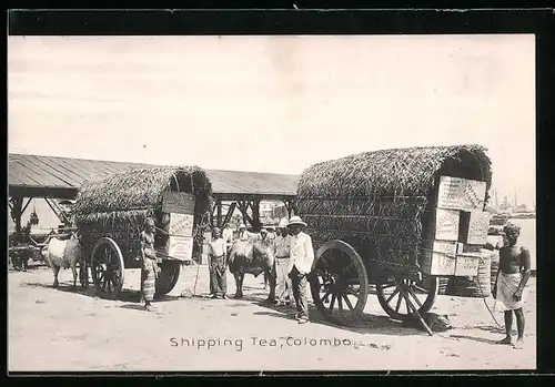 AK Colombo, Shipping Tea, Kutschen mit Anhängern voller Tee