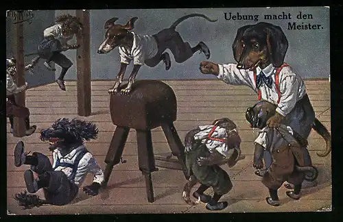 Künstler-AK Arthur Thiele: Hund Dackel trainiert andere Hunde bei einer Gymnastik Sport-Stunde