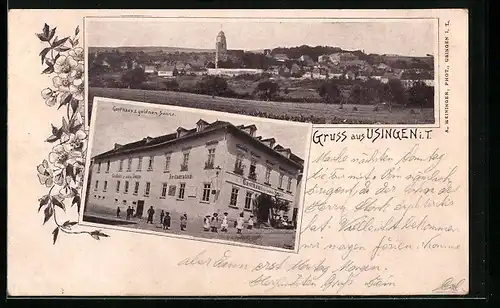 AK Usingen / Taunus, Gasthaus Zur goldenen Sonne, Panorama