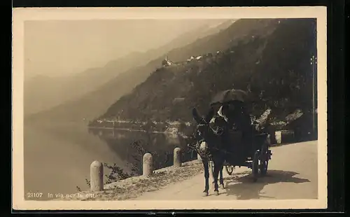 Foto-AK In via per la citta, Eselgespann unterwegs