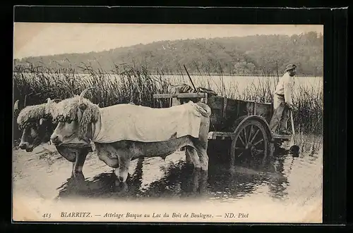 AK Biarritz, Attelage Basque au Lac du Bois de Boulogne