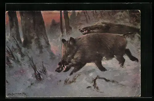 Künstler-AK Zwei Wildschweine im Schnee