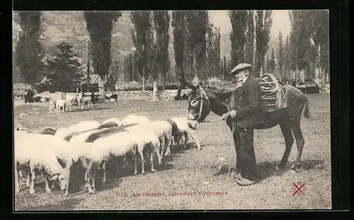 AK Au marché, attendant l`acheteur