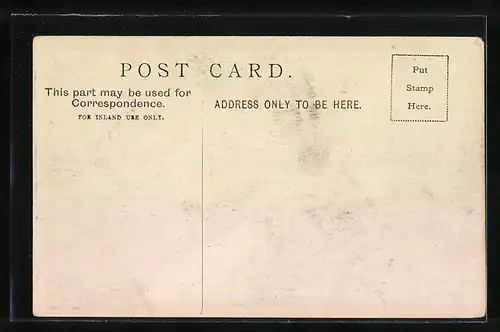 AK Königstiger hinter Gittern in einem Zoo