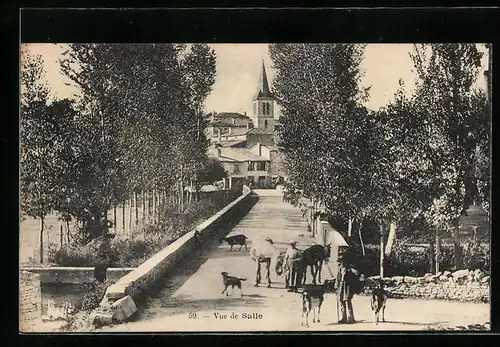 AK Salles /Mothe-Saint-Héray, Vue de Salle