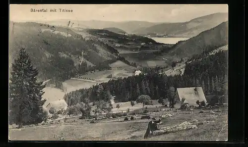 AK Bärental, Blick zu Titisee, Schäfer mit Herde
