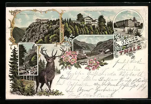 Lithographie Thale, Hotel zur Rosstrappe, Hotel Zehnpfund, Eingang ins Bodethal