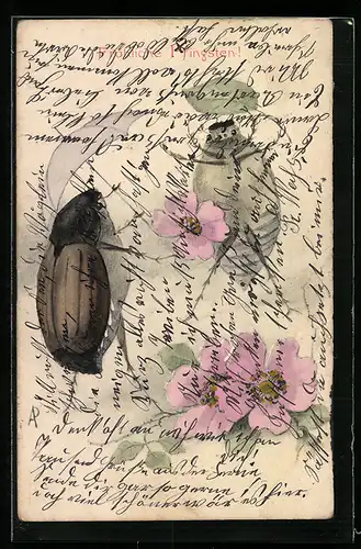 Künstler-AK Maikäfer mit Regenschirm, Pfingstgruss