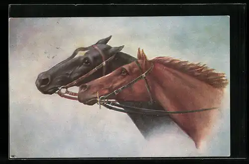 AK Zwei Pferde, Rappe und Fuchs