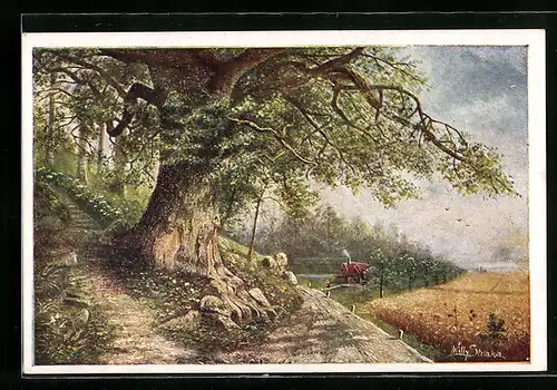 Künstler-AK Willy Straka: alter Baum steht auf einem Hügel
