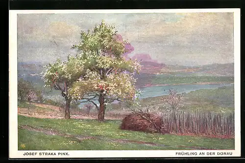 Künstler-AK Josef Starka: Frühling an der Donau, Blick zum Fluss hinunter, Deutscher Schulverein NR. 534