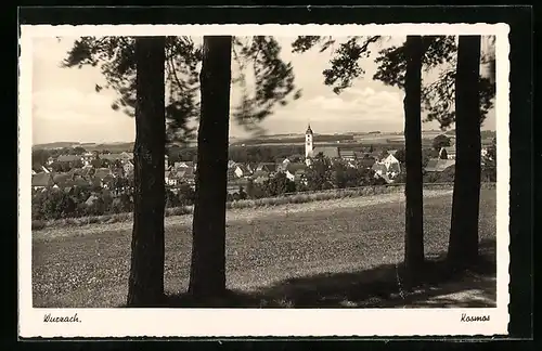 AK Wurzach, Ortspartie mit Kirche und Bäumen