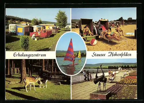 AK Hohenfelden, Erholungszentrum mit Campingplatz und Damwild und Ziege